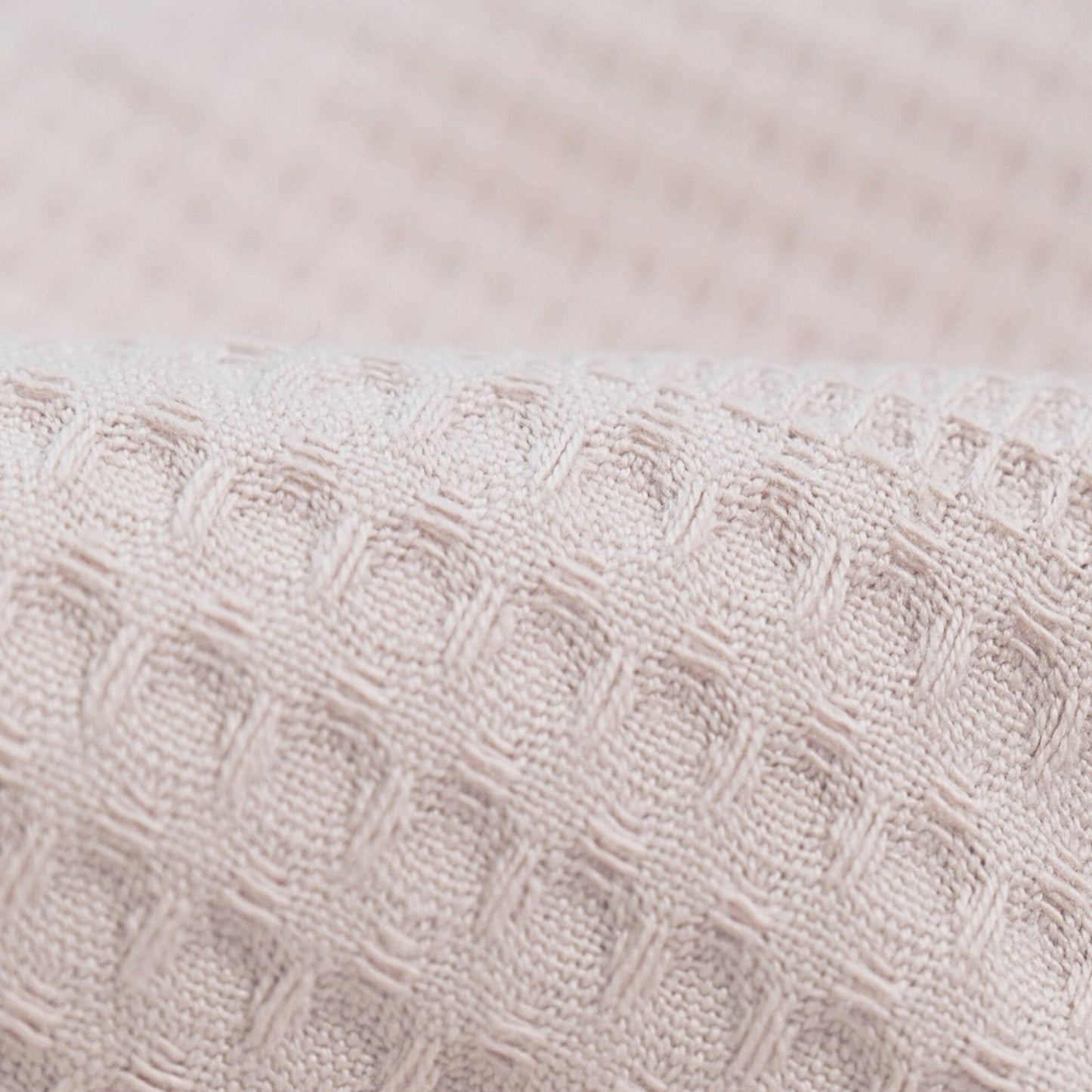 Kupu Pamuk Pike - Waff L - Kupu&Kupu -